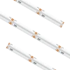 High Output COB Tape Light IP54 RGBTW
