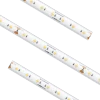 High Output Tape Light IP68 4000K 16.4Ft
