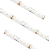 Standard High Density Tape Light IP54 5000K 16.4Ft