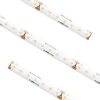 Standard High Density Tape Light IP54 2700K 100Ft