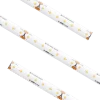 Standard High Density Tape Light IP65 3500K 16.4Ft